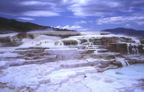 Mammoth Hot Springs  WM